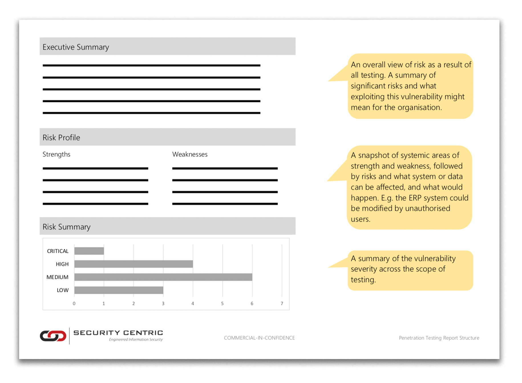 Security Centric - Penetration Testing - Report Summary