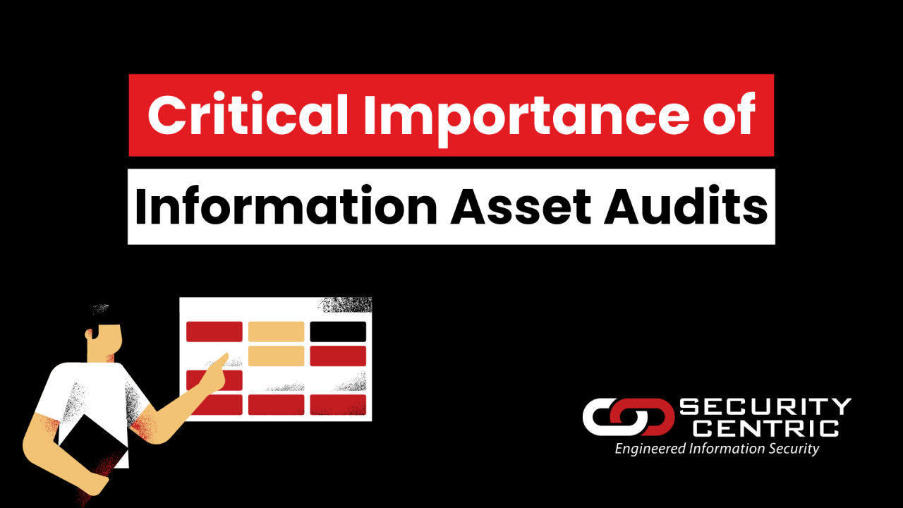 Critical Importance of Information Asset Audits